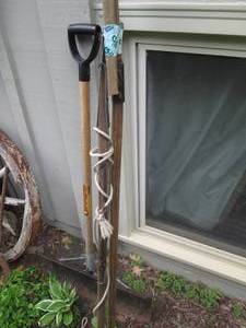 Long reach tree trimming saw and Br...
