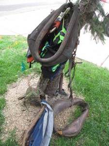 Vintage horse tack, scuba diving ve...