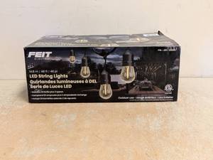 FEIT ELECTRIC LED STRING LIGHTS