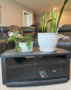 Entertainment Cabinet With 2 Live Plants