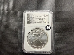 2013 Early Releases 1 Oz. Silver American Eagle NGC MS70 - Perfect Grade Coin  - NGC Price Guide $130
