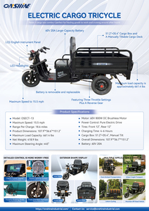 Electric Cargo Tricycle Teal