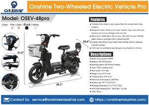 Two-wheel Electric Vehicle Pro