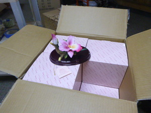12 Simson Giftware Porcelain Orchids