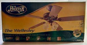 Hunter the Wellesley Ceiling Fan With Light
