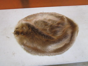Beaver Pelt