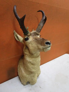 Antelope Mount