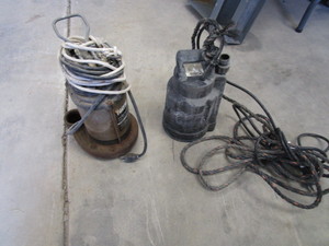 (2) Sump Pumps