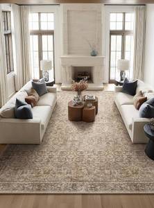 $270 Washable Indoor Living Room Rugs, 10x8 Area Rugs, Non-Slip, Stain-Resistant, Carpet