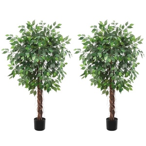 $163 Set of 2 5ft Artificial Ficus Trees, 756 Leaves, Black Nursery Pot, 3-Trunk Greenery