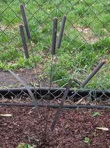 BY - Metal Garden Pussywillow Decor