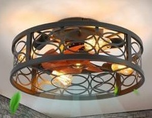 20 Caged Ceiling Fan with Light & Remote $117.77 Retail - Brand New