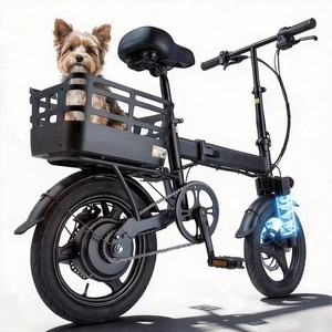 Black A6 E-Bike