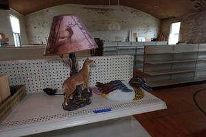 Wildlife Table Lamp and Decorative Duck