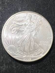 2009 AMERICAN SILVER EAGLE 1 TROY OZ .999 FINE SILVER
