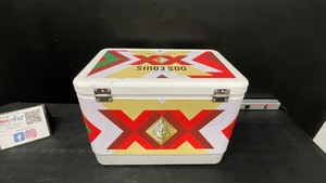 Lot of 2 items Dos Equis cooler and Blue Moon cushion, BRC 39