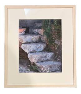 LL - Thormina Framed Print by Judy Glazer