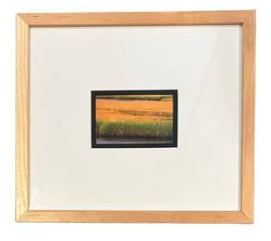 LL - Framed Marshland Print