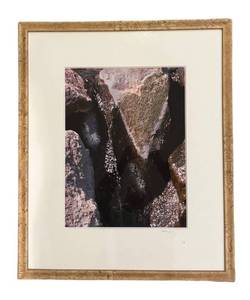 LL - Pretty Print by Judy Glazer
