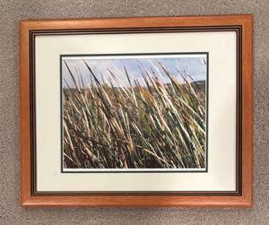 LL - Framed Landscape Print