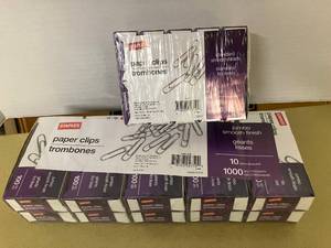 Large and Standard Paper Clips
