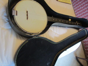 Gremlin Banjo, Case