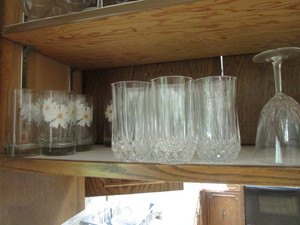 Tumblers, Cristal & Painted Daisy