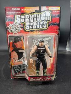 Vintage Jakks Pacific WWE Road Dogg Signature Series 5 Figure