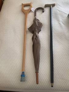 Canes and umbrella black one with ...