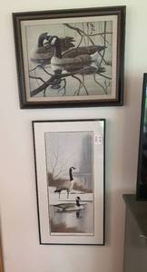 (3) Goose pictures...