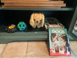 Dog items - books, grooming supplie...