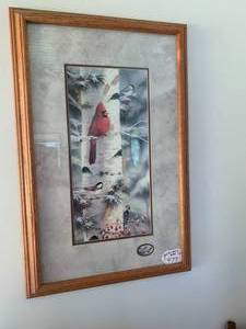 Bird pictures all on wall and floo...