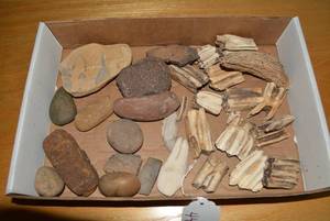 Buffalo teeth, horn and other artif...