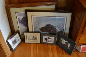 Dog pictures...