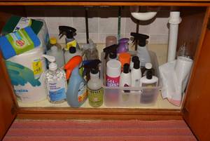 Assorted cleaning supplies all und...