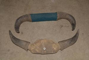 (2) Sets of buffalo horns...