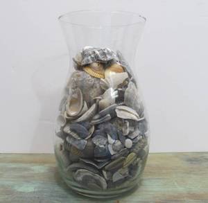 Large Vase Full of Assorted Seashells