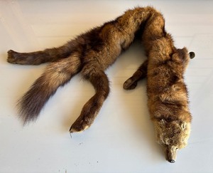 Genuine Mink Pelt