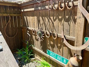 Contents of Fence - Several Antique Horseshoes - Cultivator Wheel Large Industrial Hooks