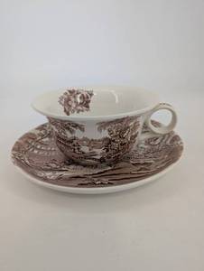 Bone China Teacup and Saucer - Alfred Meakin Tonquin