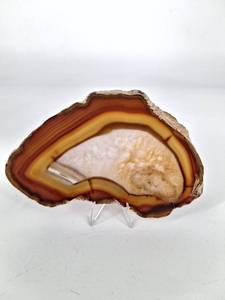 Banded Agate Slice Geode Display Specimen