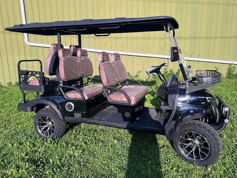 2026 FUTURE Off-Road Golf Cart (FT-GC42S) - ASSEMBLED 