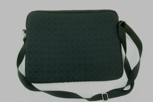 Belkin laptop case. quilted, padded