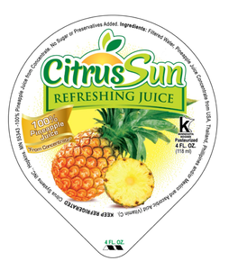 EE. 96-4oz Frozen Pineapple Juice Cups