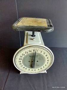 Hanson Kitchen Scale