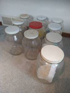 (10) Giant Pickle Jars
