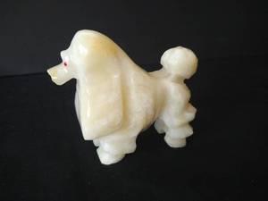 Alabaster Poodle