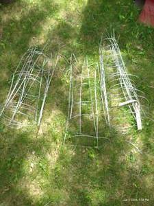 (12) Tomato Cages