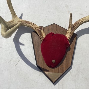 Antler Mount