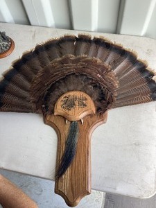 Turkey Fan